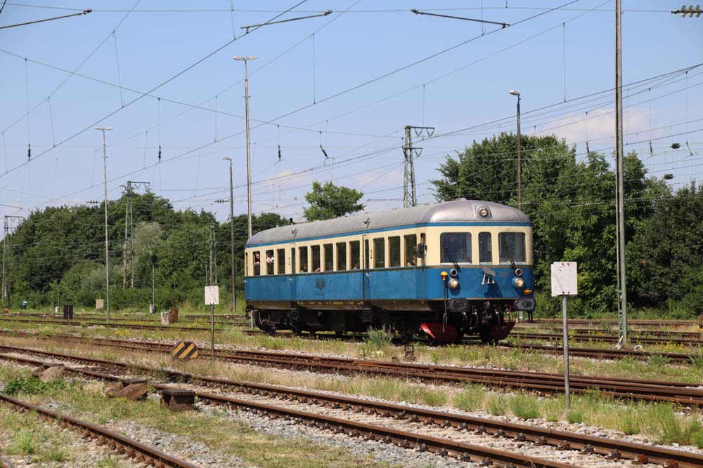 MLA 08