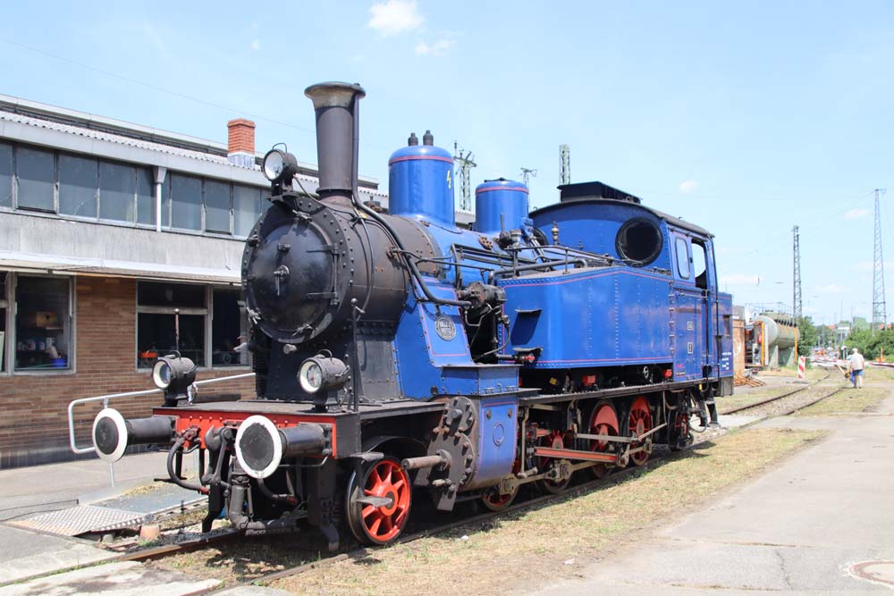 MLA 12