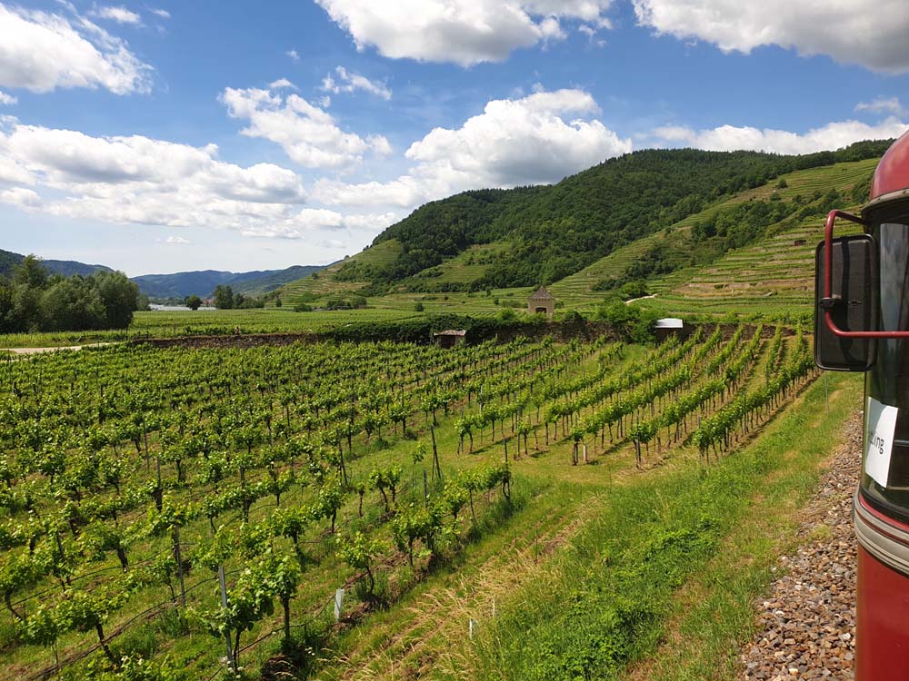 Wachau 06