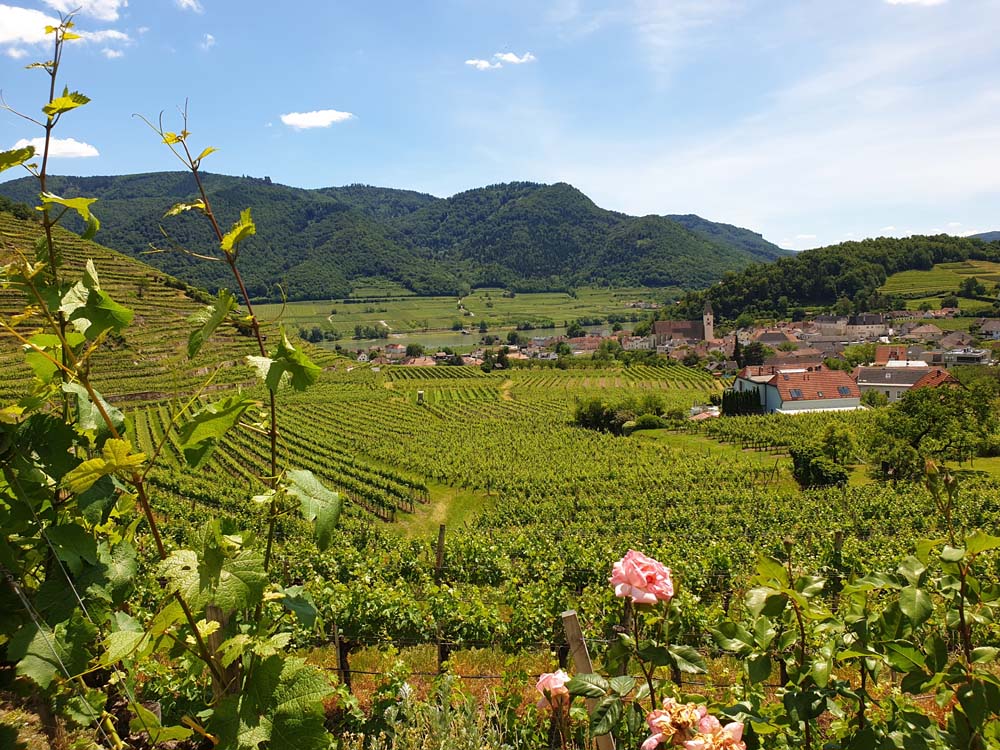 Wachau 14