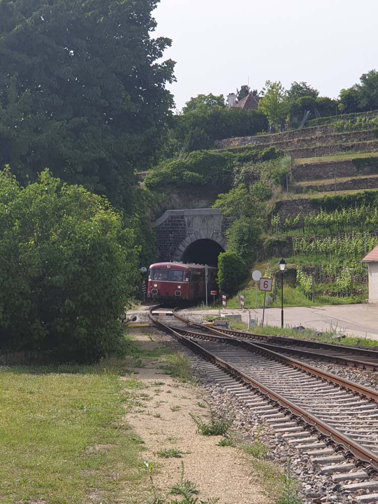 Wachau 18